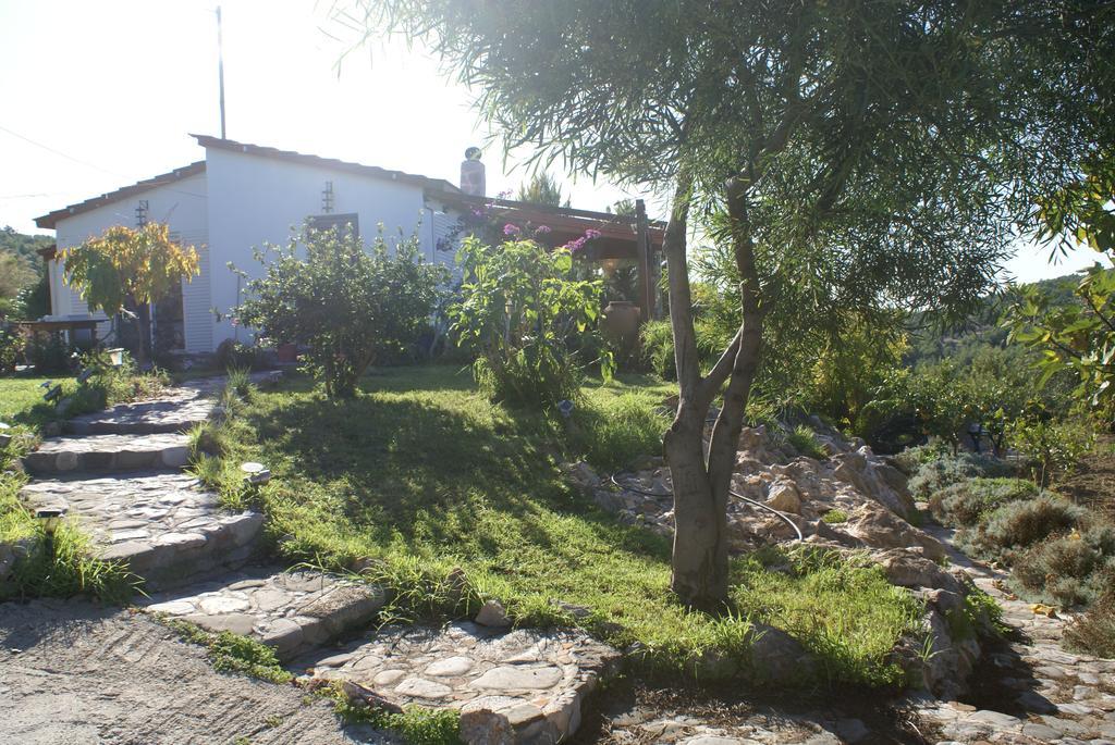 Willa O Ioannis Kritinía Zewnętrze zdjęcie
